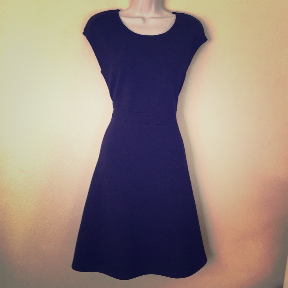 SALE! Motivi of Italy navy Blue Swing Dress be